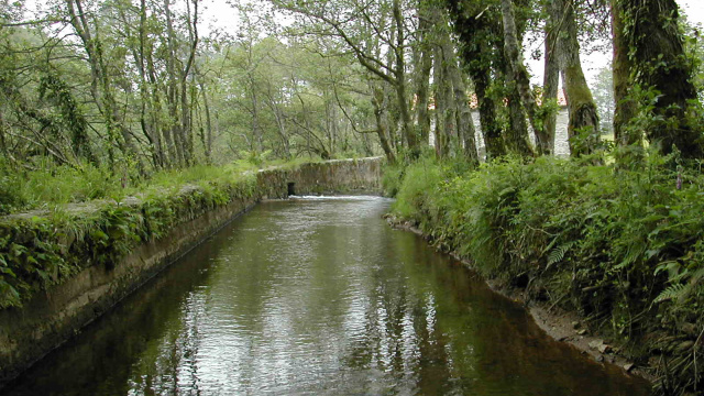 Presa de a Xesteira